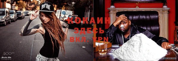 тгк Арсеньев